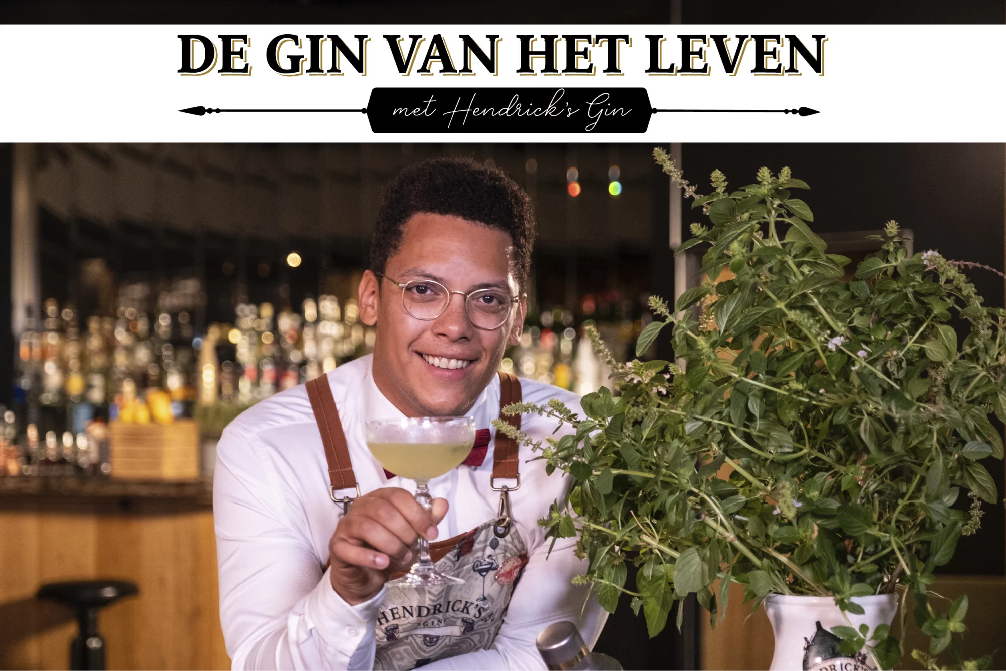 De Gin van het leven