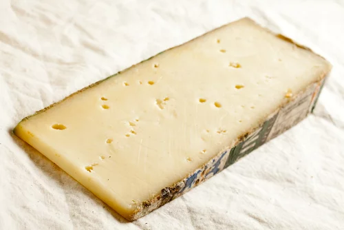 Fontina