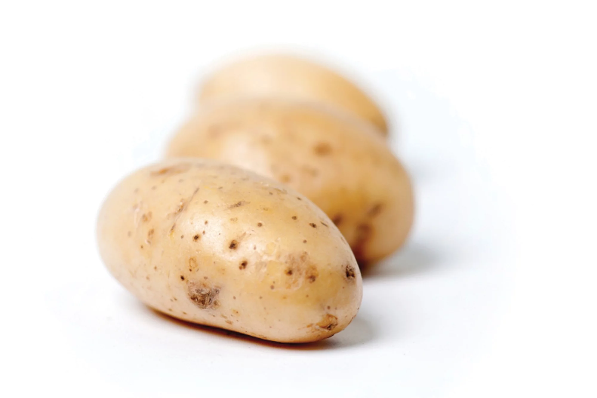 Aardappel