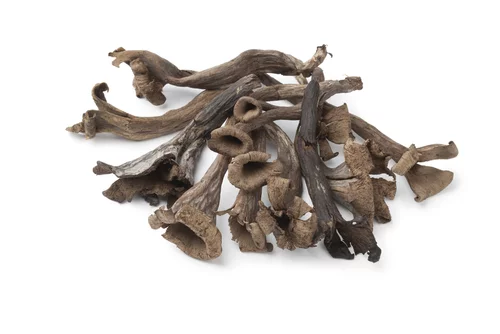 Trompette de la mort