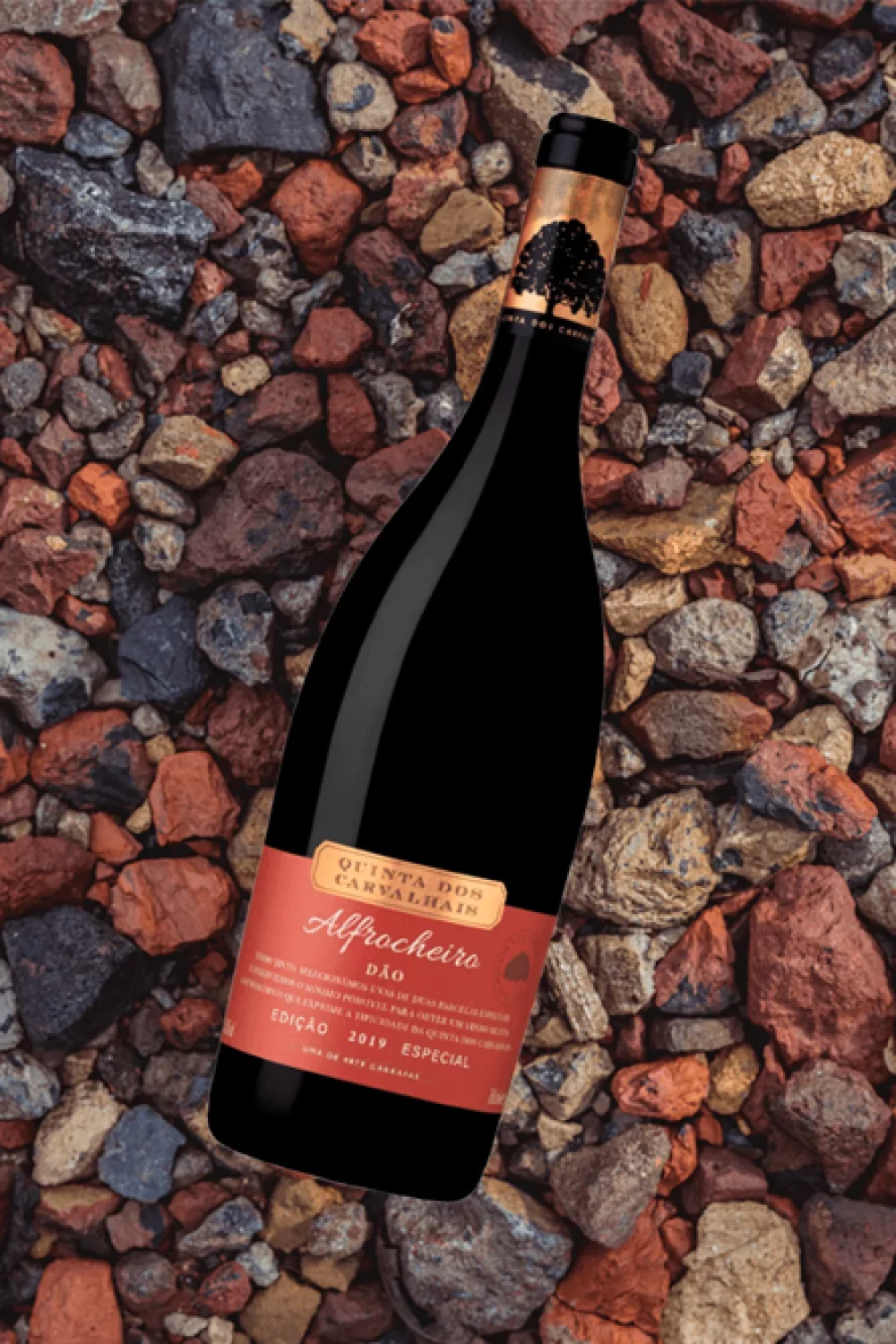 Quinta dos Carvalhais Alfrocheiro