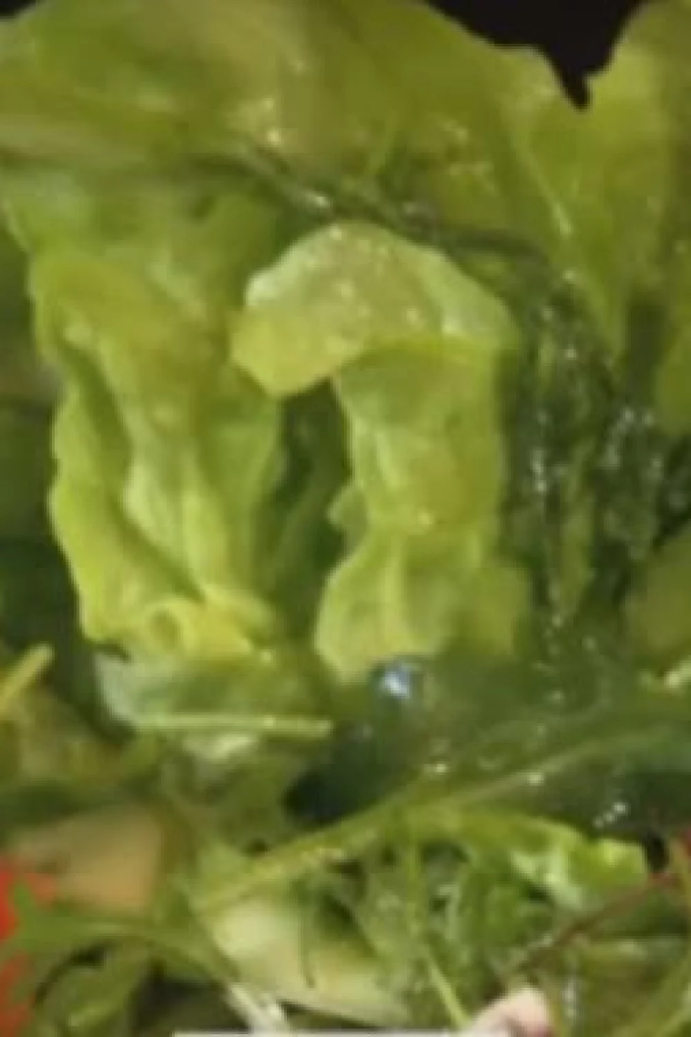Zomers slaatje met basilicumdressing
