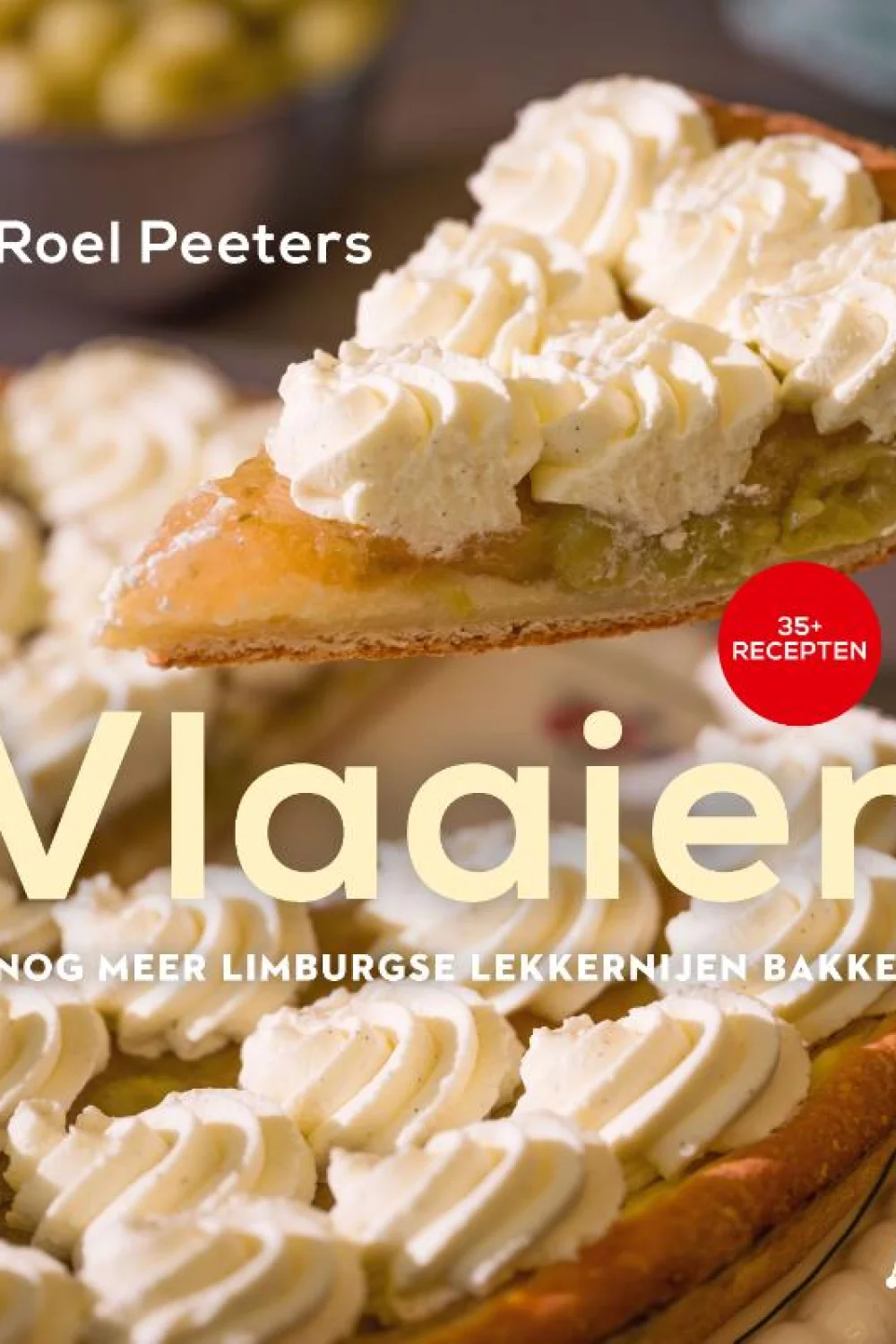 Vlaaien