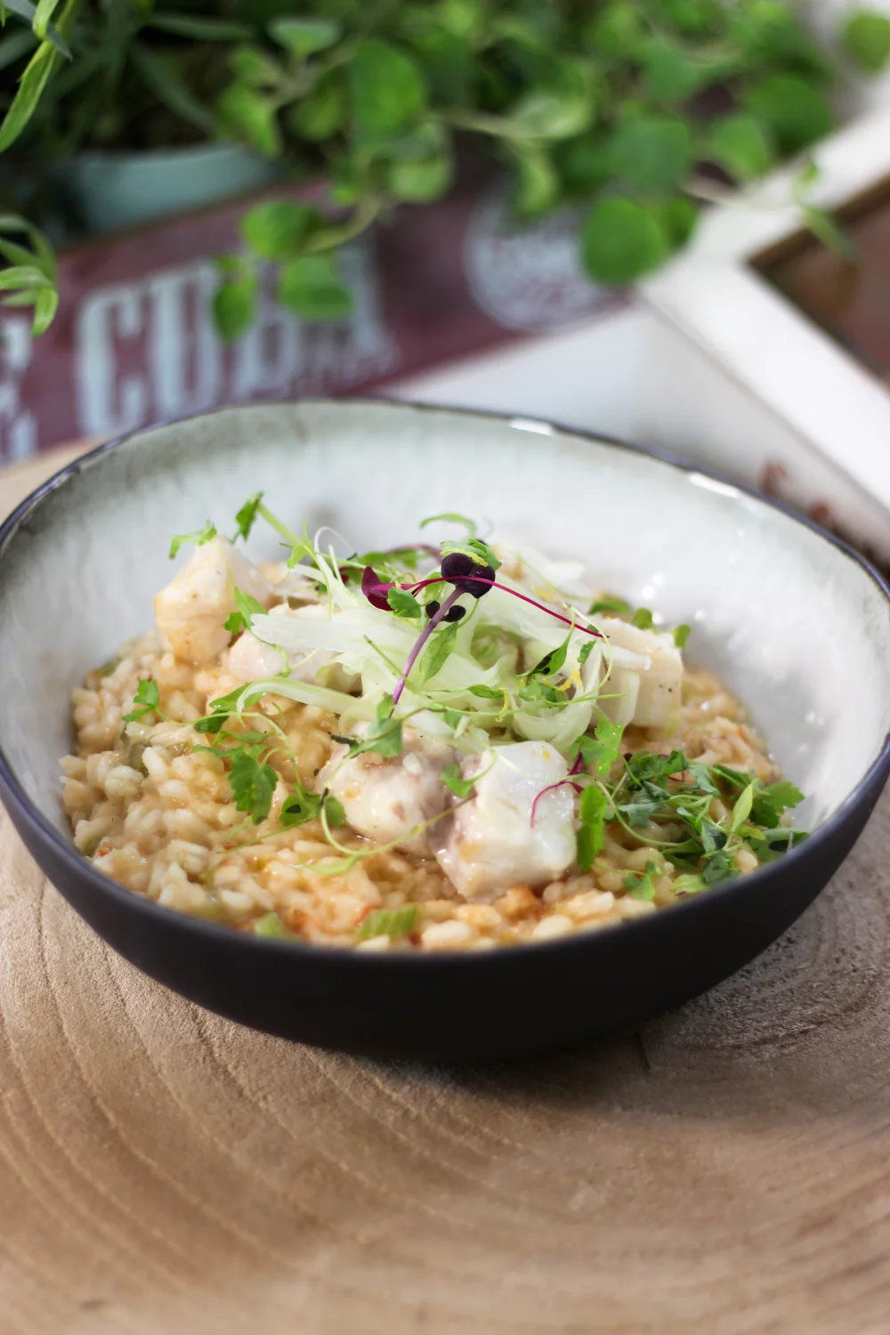 Risotto met roodbaars en venkel