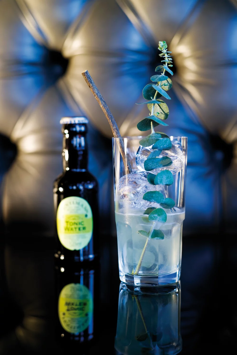 Branch & Tonic