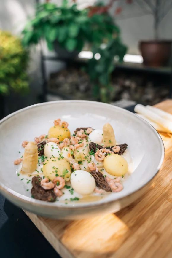 Ragout van asperges