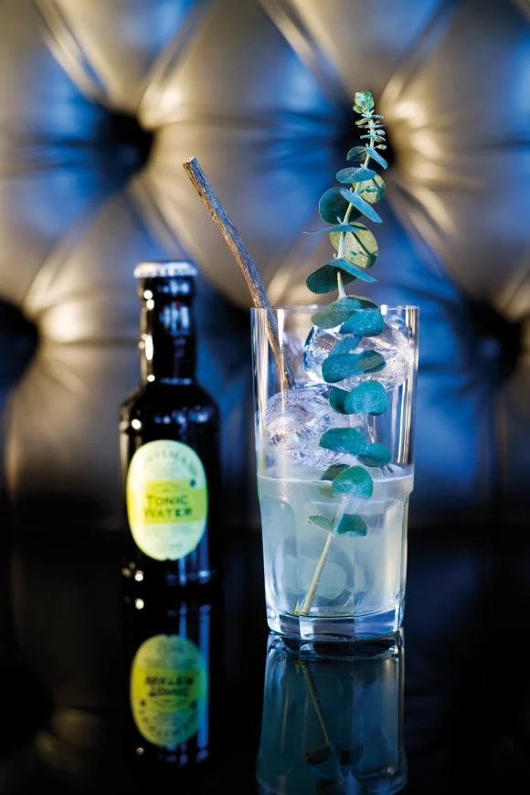 Branch & Tonic