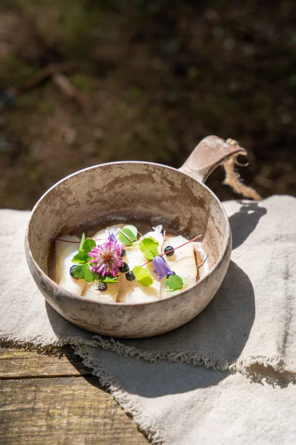 Ceviche van zeebaars met leche di tigre en verse kruiden 