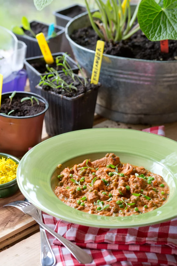 Chicken tikka masala
