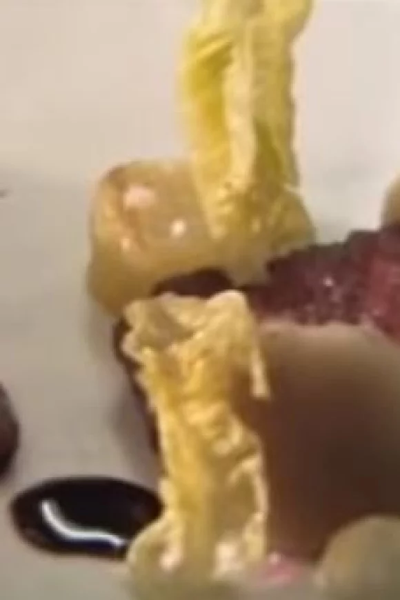Wagyu steak met dragonmayonaise - Hof van Cleve Style