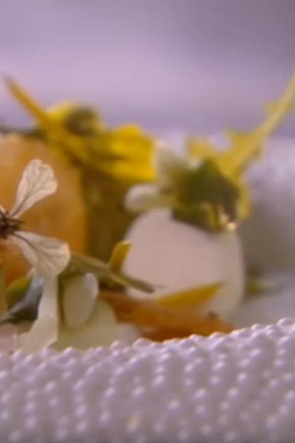 Parmezaanse kaas met een cake van groene kruiden