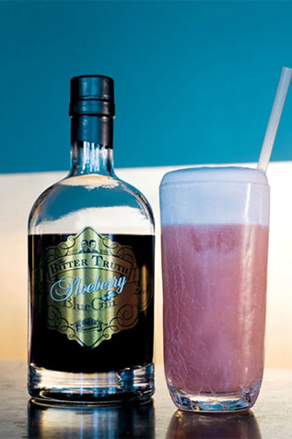 Sloeberry Gin Fizz
