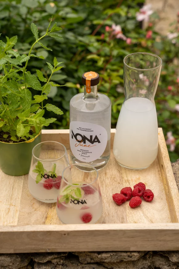 Nona Raspberry Mojito