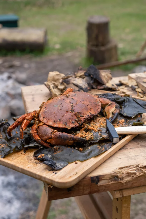 Krab met zeewier in klei