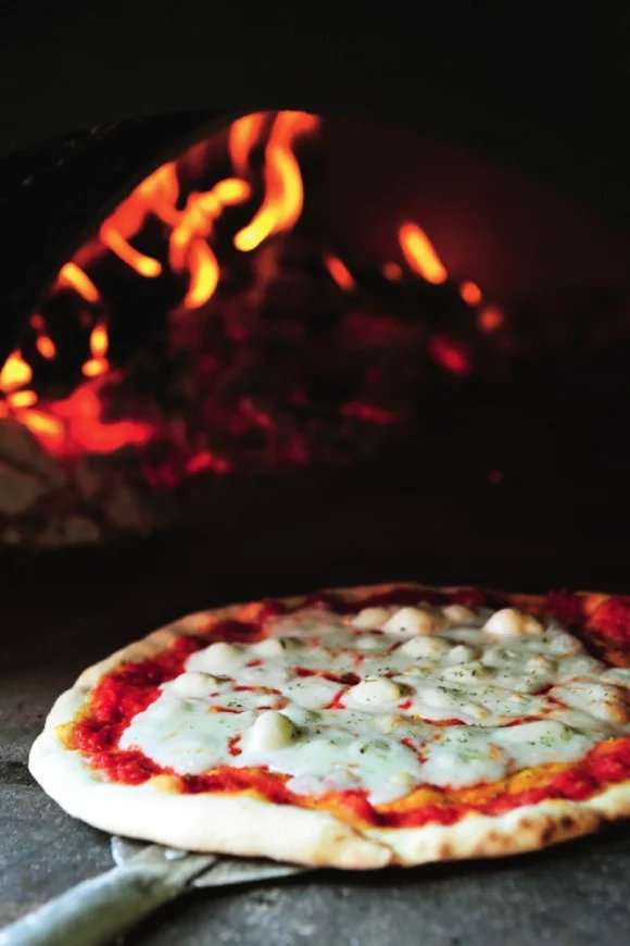 Pizza Ruotola