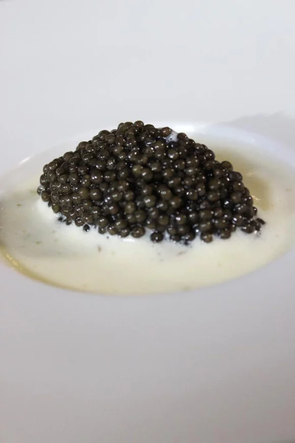 Oestersabayon met kaviaar