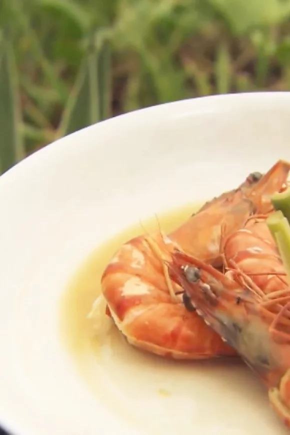 Scampi met vinaigrette van peper