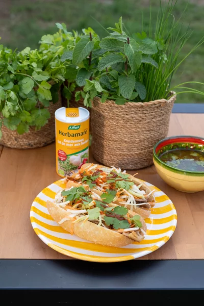 Thais broodje pulled chicken