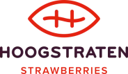 Hoogstraten Strawberries