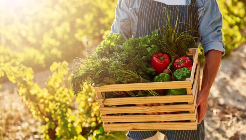Njam! trekt erop uit: 6 vegan hotspots die je moet ontdekken