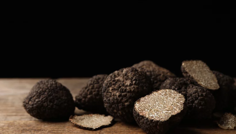 Ingrediënt in de kijker: truffel - 10 weetjes en recepten