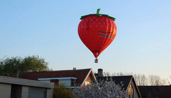Win een ballonvaart met Hoogstraten aardbeien